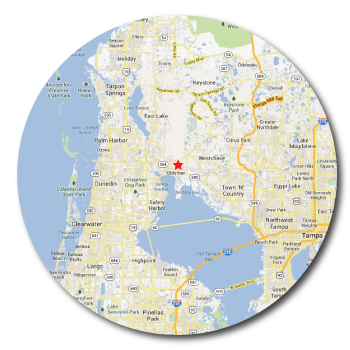Private Towing Oldsmar Map